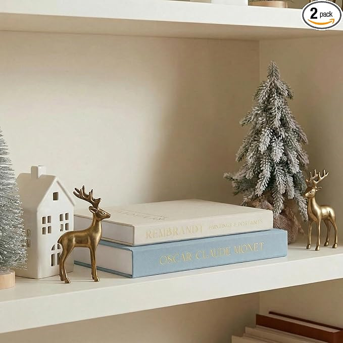 Beautiful Decorative Books - Set of 2 Linen Boxes Enhance Your Coffee Table, Bookshelf or Mantel ... | Amazon (US)