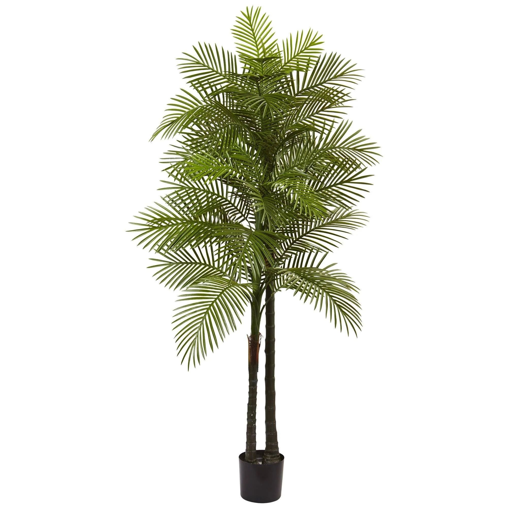 7’ Double Robellini Palm Tree UV Resistant (Indoor/Outdoor) | Nearly Natural