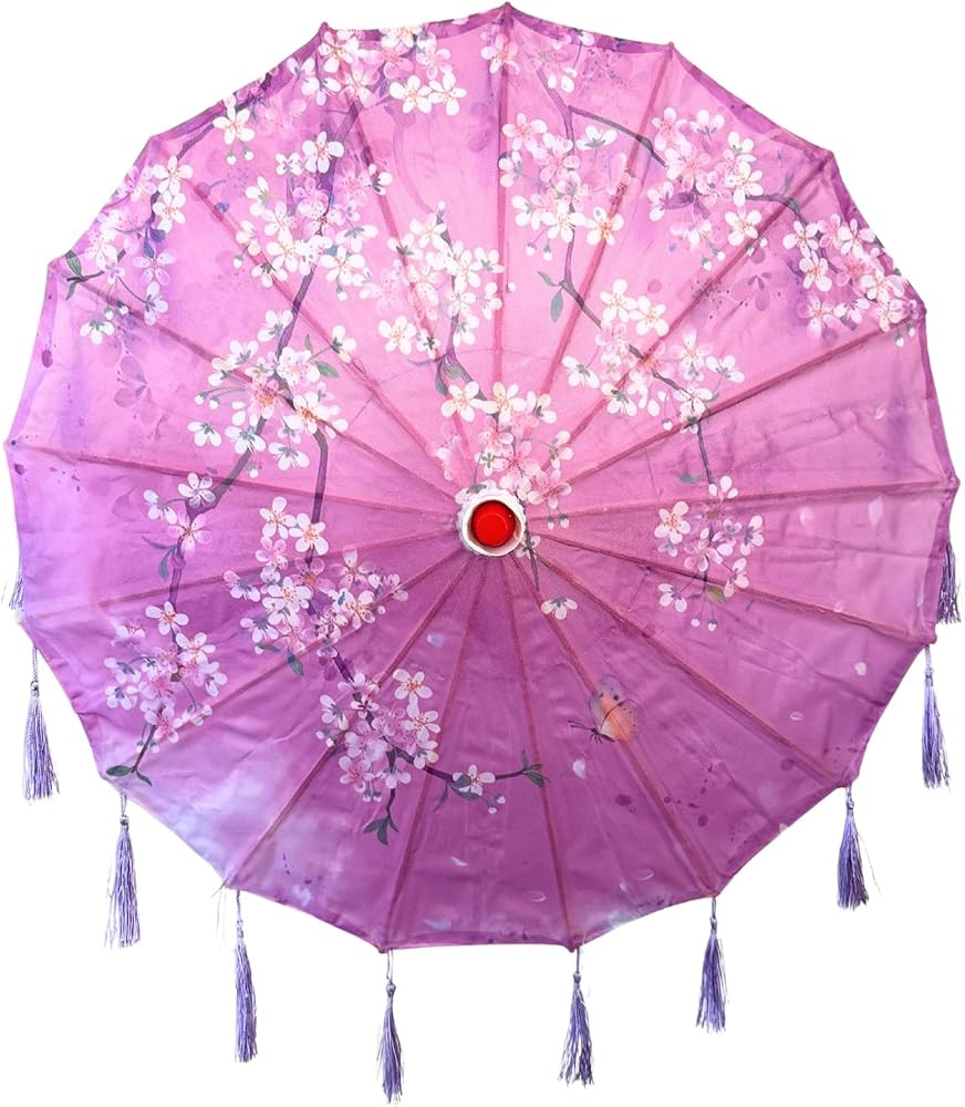 THY COLLECTIBLES Classic Chinese Art Asian Style 22" Kids' Size Silk Parasol Umbrella with Tassel... | Amazon (US)