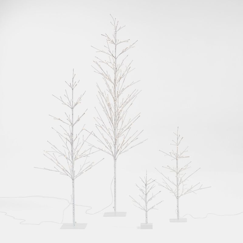 LED Birch Trees | Crate and Barrel | Crate & Barrel