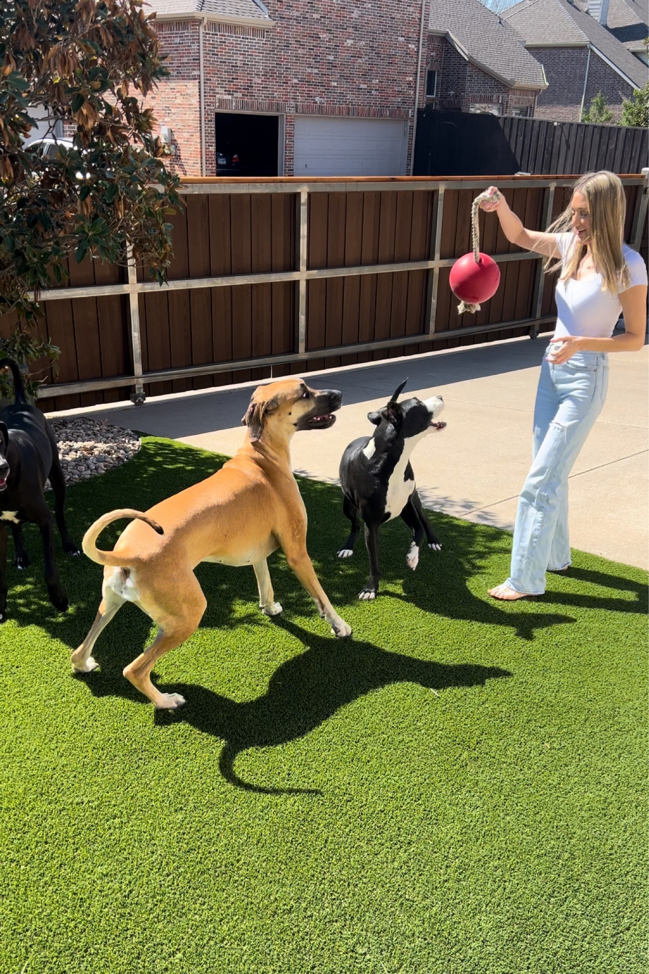 Dog Jolly Ball, my jeans and my shirt! The jolly ball is a great toy !