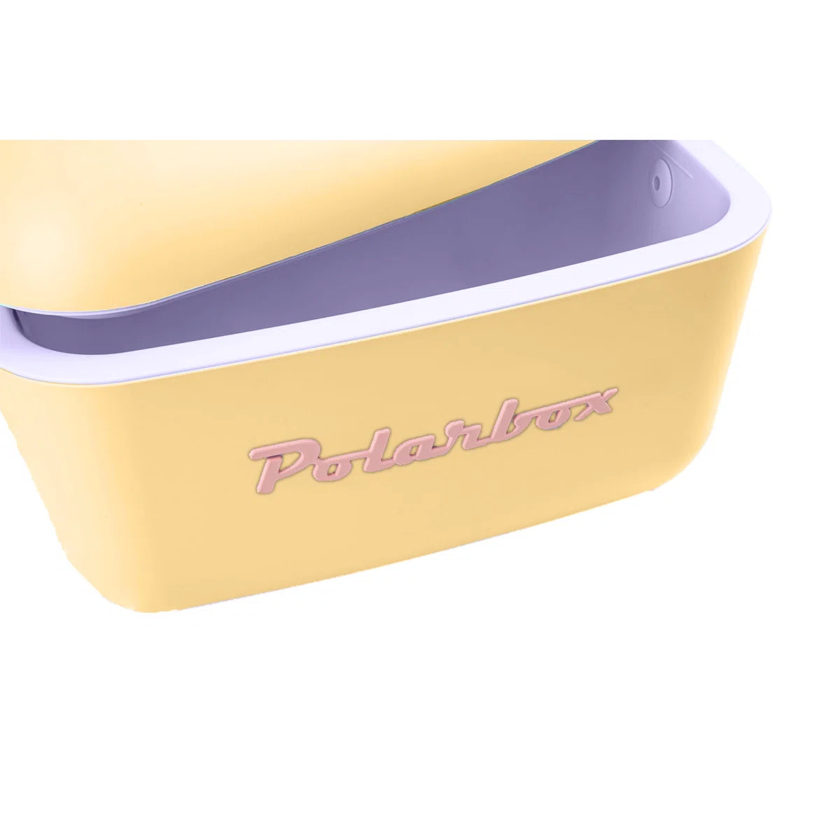 Polarbox 21 Quarts Ice Chest & Reviews | Wayfair | Wayfair North America