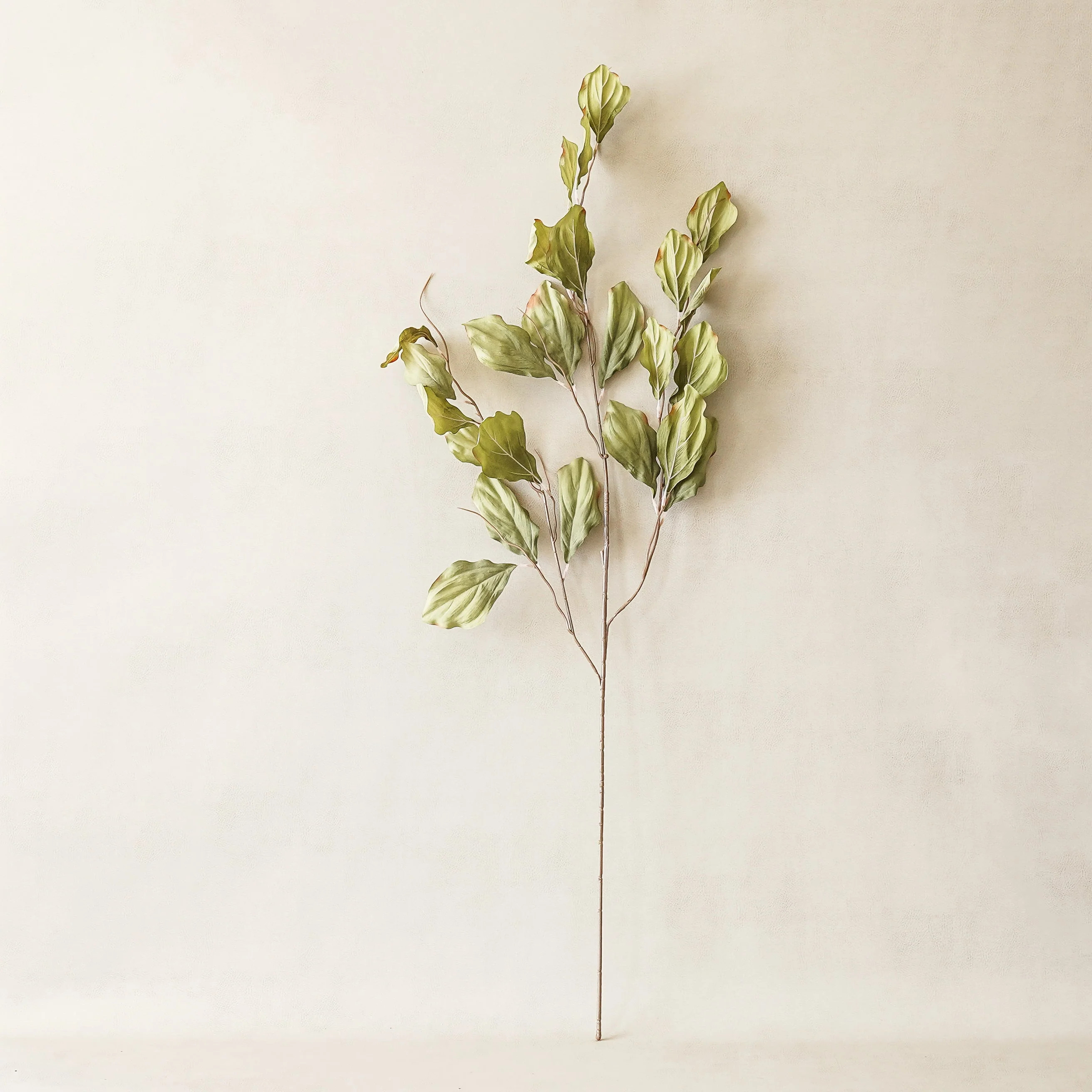 Fabulous Fallon Styled Look | MJHome