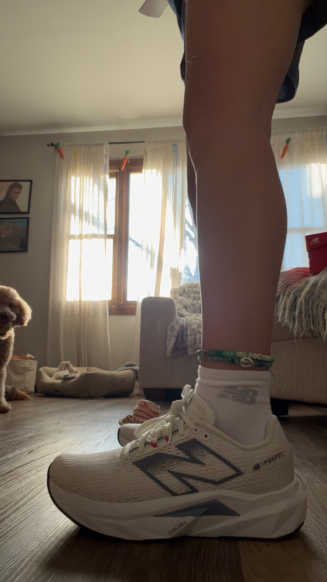 New Balance girlyyyy 4 life! 👟🏃🏼‍♀️💨

size 9 (regular width) in all New Balance shoes
& I got the regular/medium in the socks 🧦

*linking up a bunch of other cute/neutral options as well :)

New Balance shoes, running shoes, running sneakers, neutral running shoes, New Balance footwear, New Balance socks, white socks, quarter crew socks, trending footwear, trending sneakers, affordable sneakers, New Balance finds, New Balance deals, DSW finds, DSW deals, DSW sneakers, DSW running shoes, white running shoes, watch now

#LTKfitnessgoals #LTKActive #LTKSaleAlert