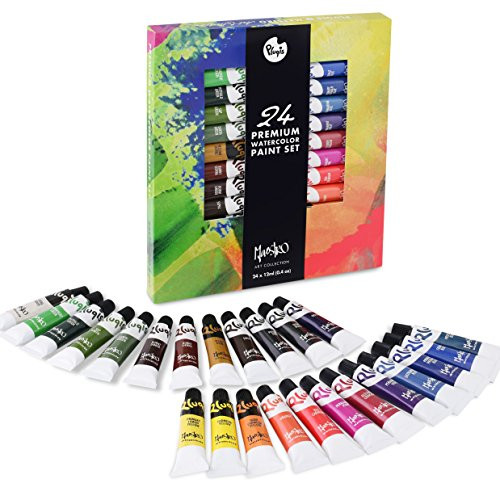 Pluqis Maestro Fine Art Premium Watercolor Paint, Set of 24 Colors, 0.4 oz/12ml | Amazon (US)