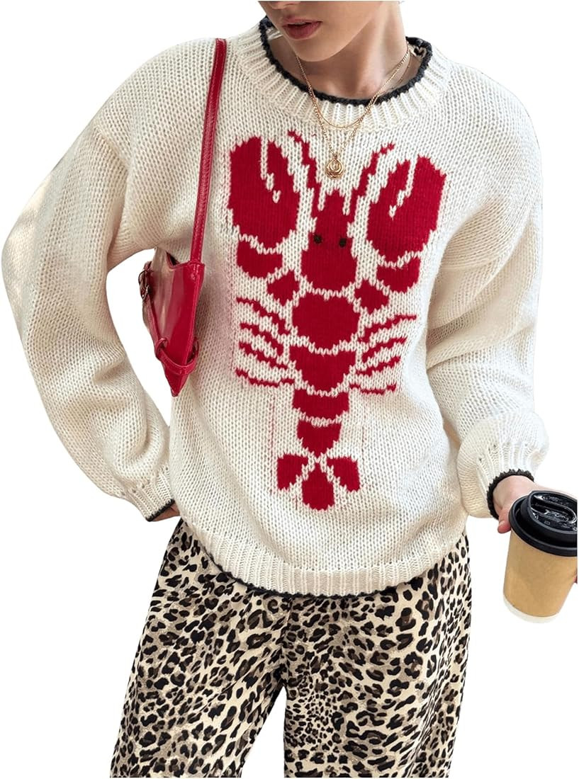 MakeMeChic Women's Graphic Crew Neck Knit Sweater Long Sleeve Casual Pullover Sweater Top Multico... | Amazon (US)