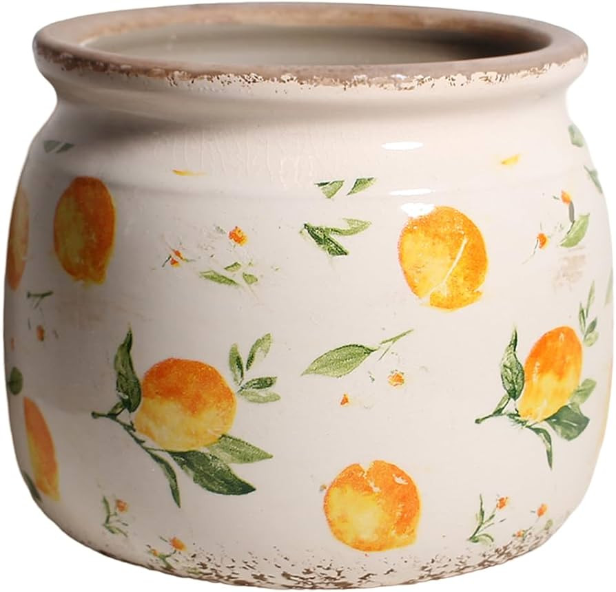 Lemon Summer Decor Plant Pot, 6 Inch Vintage Ceramic Planter with Drainage for Indoor Plants, Rus... | Amazon (US)