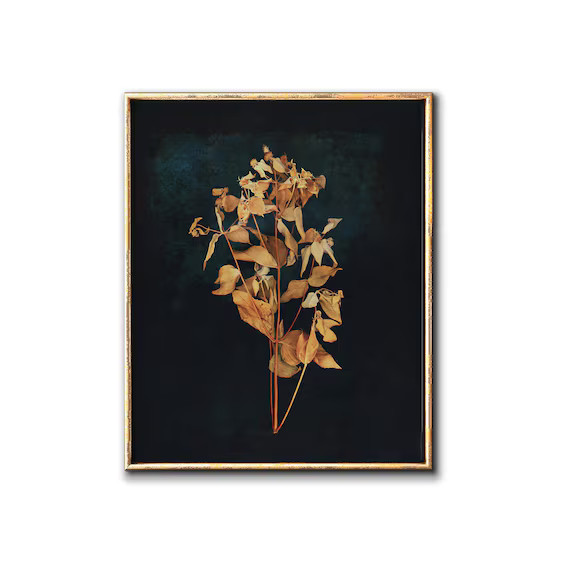 Dark Botanical Digital Print Moody Floral Printable Art - Etsy | Etsy (US)