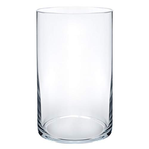 Royal Imports Flower Glass Vase Decorative Centerpiece for Home or Wedding - Cylinder Shape, 6" Tall, 3.5" Opening, Clear | Amazon (US)