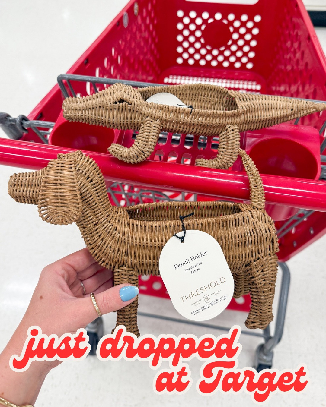 Just dropped at @Target 🎯 new decor

#LTKdayinmylife #LTKSeasonal #LTKHome