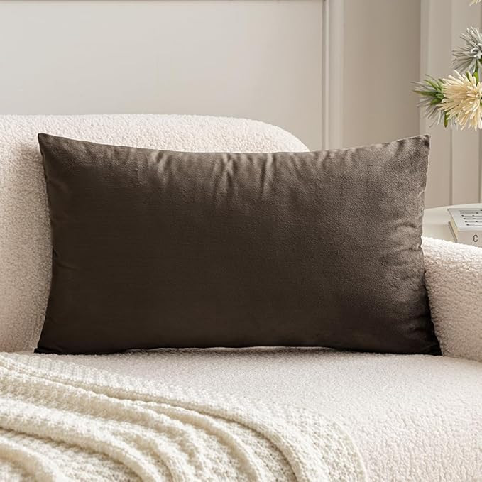 MIULEE Velvet Pillow Cover Soft Luxury Decorative Throw Pillow Cover Single Rectangle Cushion Cas... | Amazon (US)