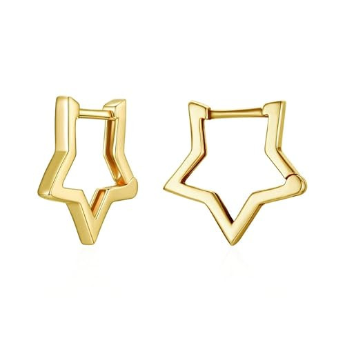 BISAER 925 Sterling Silver Cute Hoop Earrings for Women Hypoallergenic Small Sleeper Tragus Hoop Earrings Cartilage Jewelry Gifts (Gold Star) | Amazon (US)