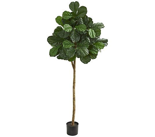 6' Fiddle Leaf Fig Artificial Tree by Nearly Natural - QVC.com | QVC