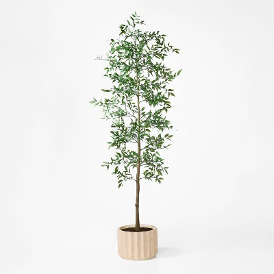 Shady Lady Tree in Ceramic Pot - Threshold™ designed with Studio McGee | Target
