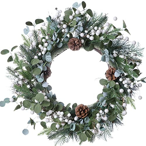 J'FLORU Christmas Wreaths for Front Door 20 Inch Artificial Christmas Wreath White Winter Wreath with Berries Pine Cones Pine Needles for Xmas Winter Holidays | Amazon (US)