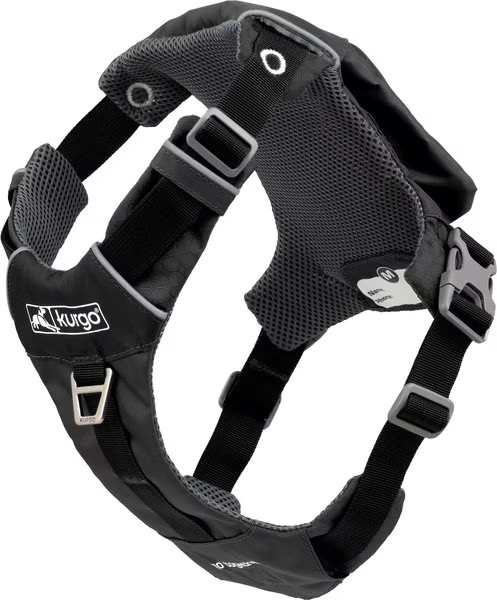 Kurgo Stash n’ Dash Dog Harness, Black | Chewy.com