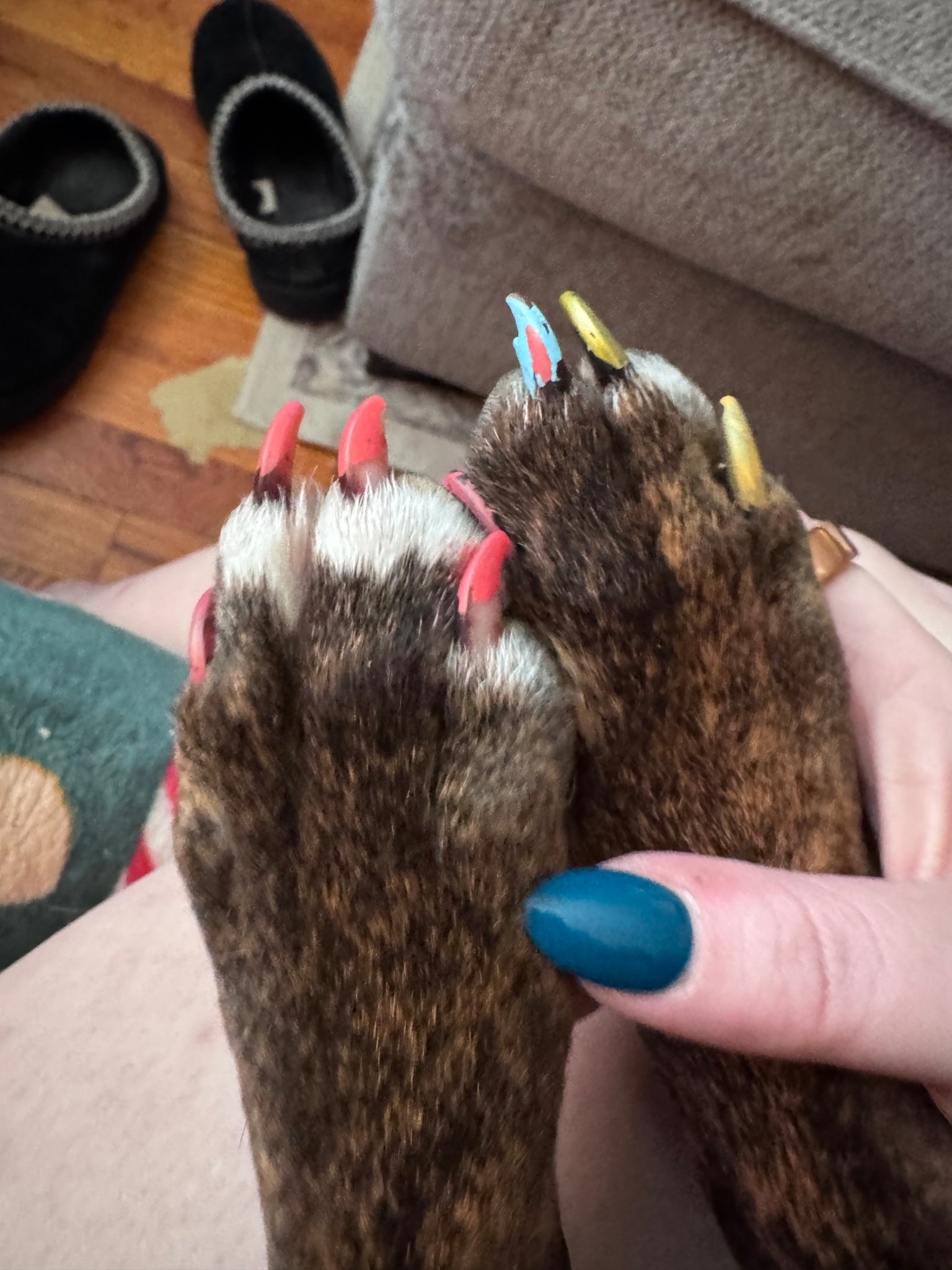 We got these cute nail polish pens! They are great! My daughter painted our dogs and her own nails so easily! They dry quick 

#LTKselfcare #LTKKids #LTKBeauty
