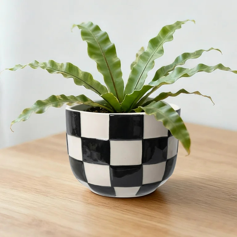 Mainstays Lennon 6" x 6" x 4.5" Round Black Checkered Ceramic Planter | Walmart (US)