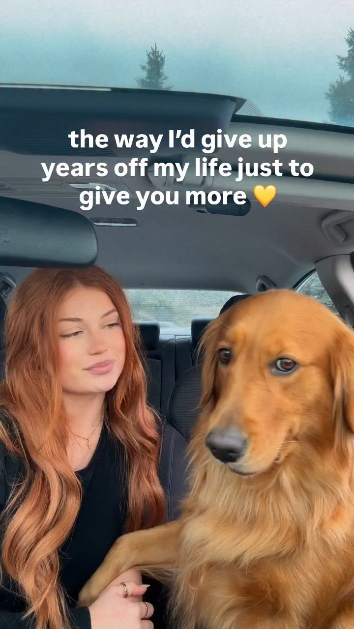 a girl’s best friend 💛💛💛 
#goldenretriever #bestfriend

#LTKmomlife #LTKdayinmylife #LTKSpringSale