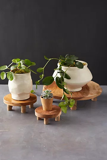 Teak Plant Stand, Short | Anthropologie (US)