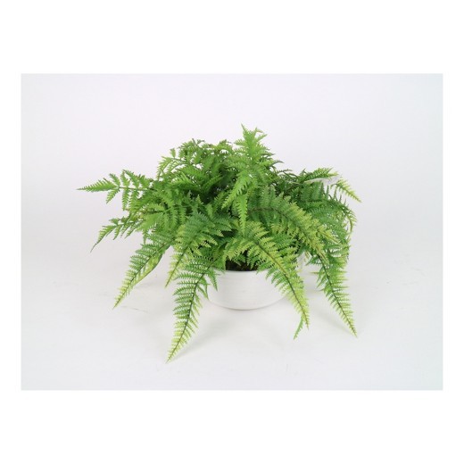 Large Fern in White Pot - Threshold™ | Target