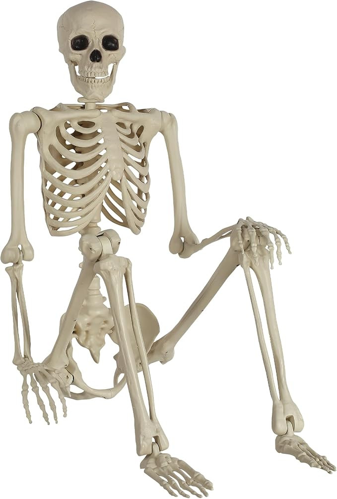 Party City Life-Size Skeleton Poseable, 5ft - Full Size Skeleton Halloween Decor with Attached Co... | Amazon (US)