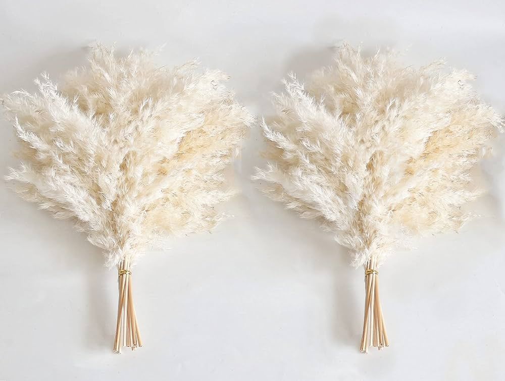 White Pampas Grass for Home Decor - Elegant Boho Decor - Premium Quality Pampas Grass Stems - Per... | Amazon (US)