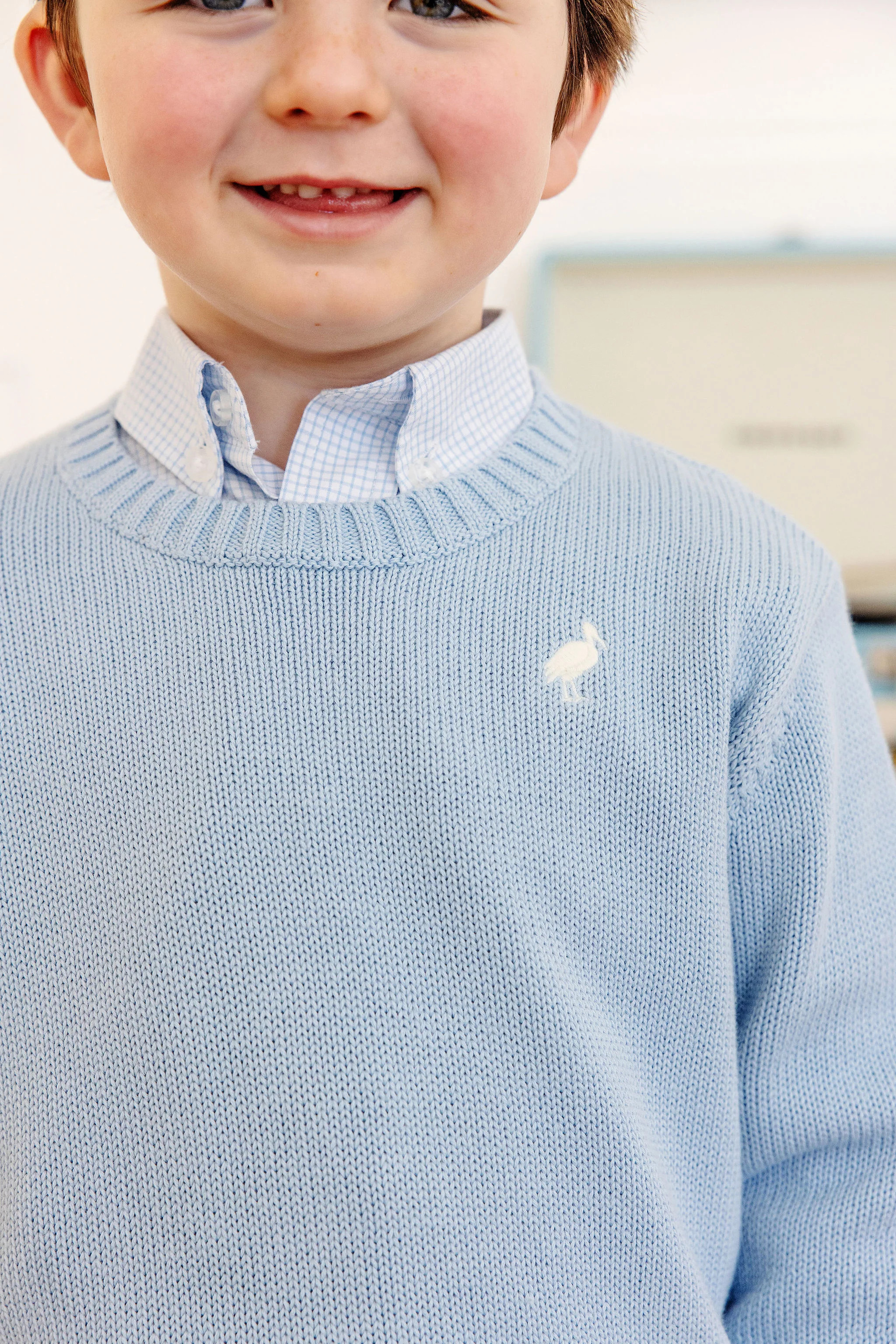 Isaac's Sweater (Unisex) - Barrington Blue with Palmetto Pearl Stork | The Beaufort Bonnet Company