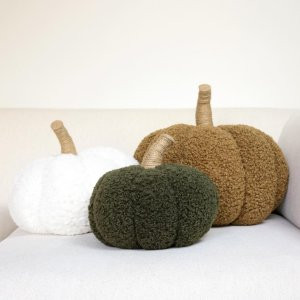 Cozy Pumpkin Pillow | Pottery Barn (US)