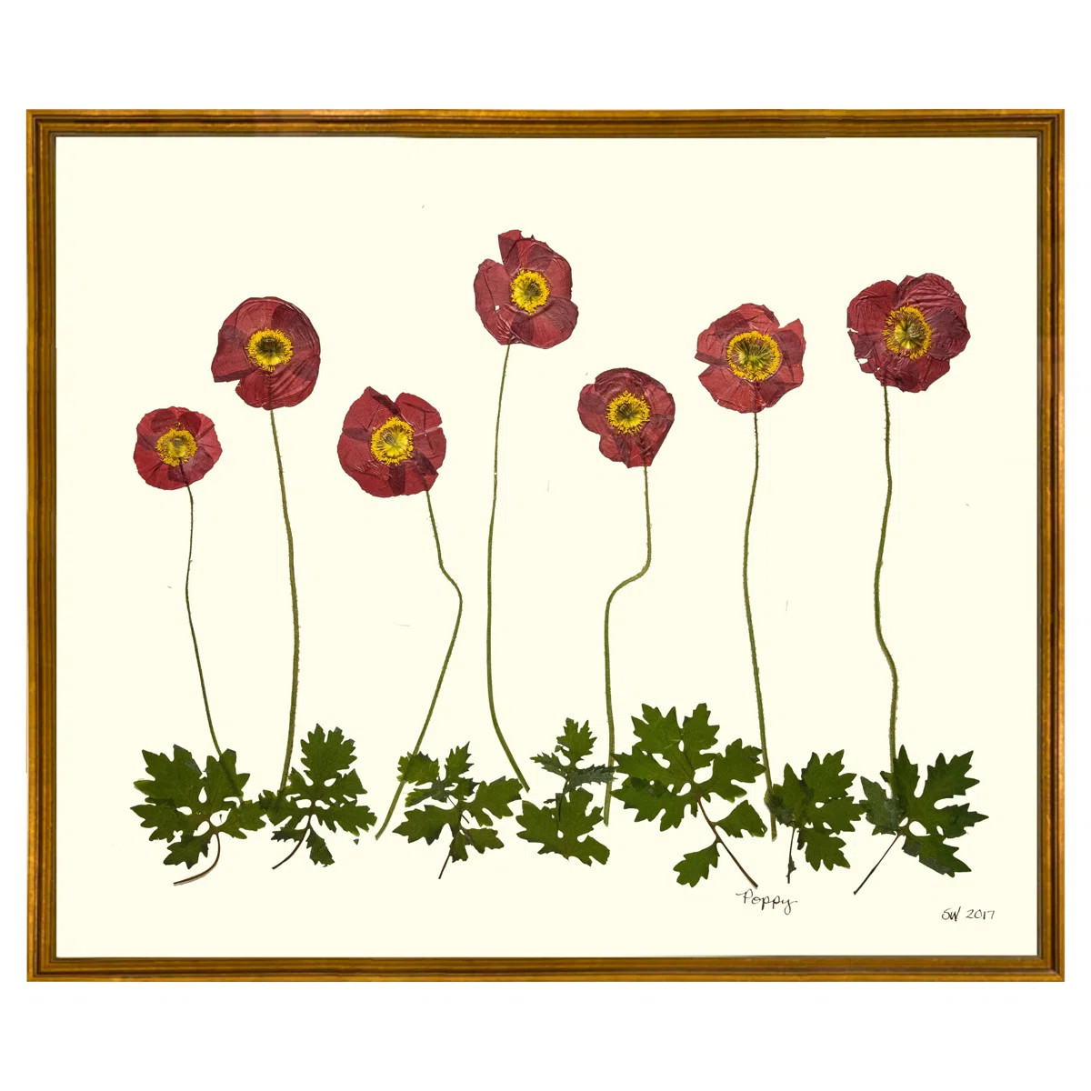 Poppy Garden Print by Sandy Whitaker | Perigold