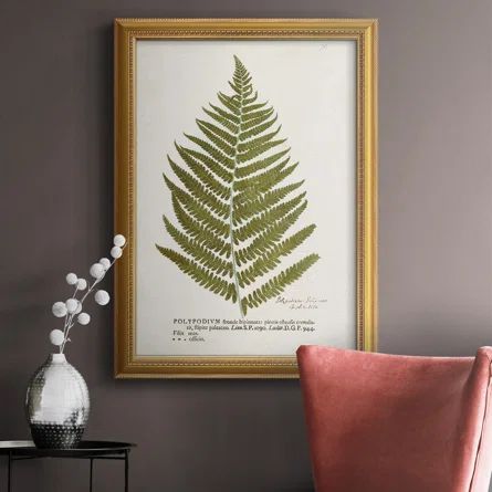 Nature Printed Ferns II - Picture Frame Painting on Canvas | Wayfair North America