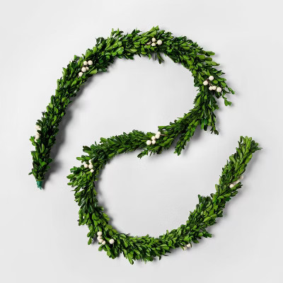 6ft Preserved Boxwood Artificial Garland - sugar paper™ | Target