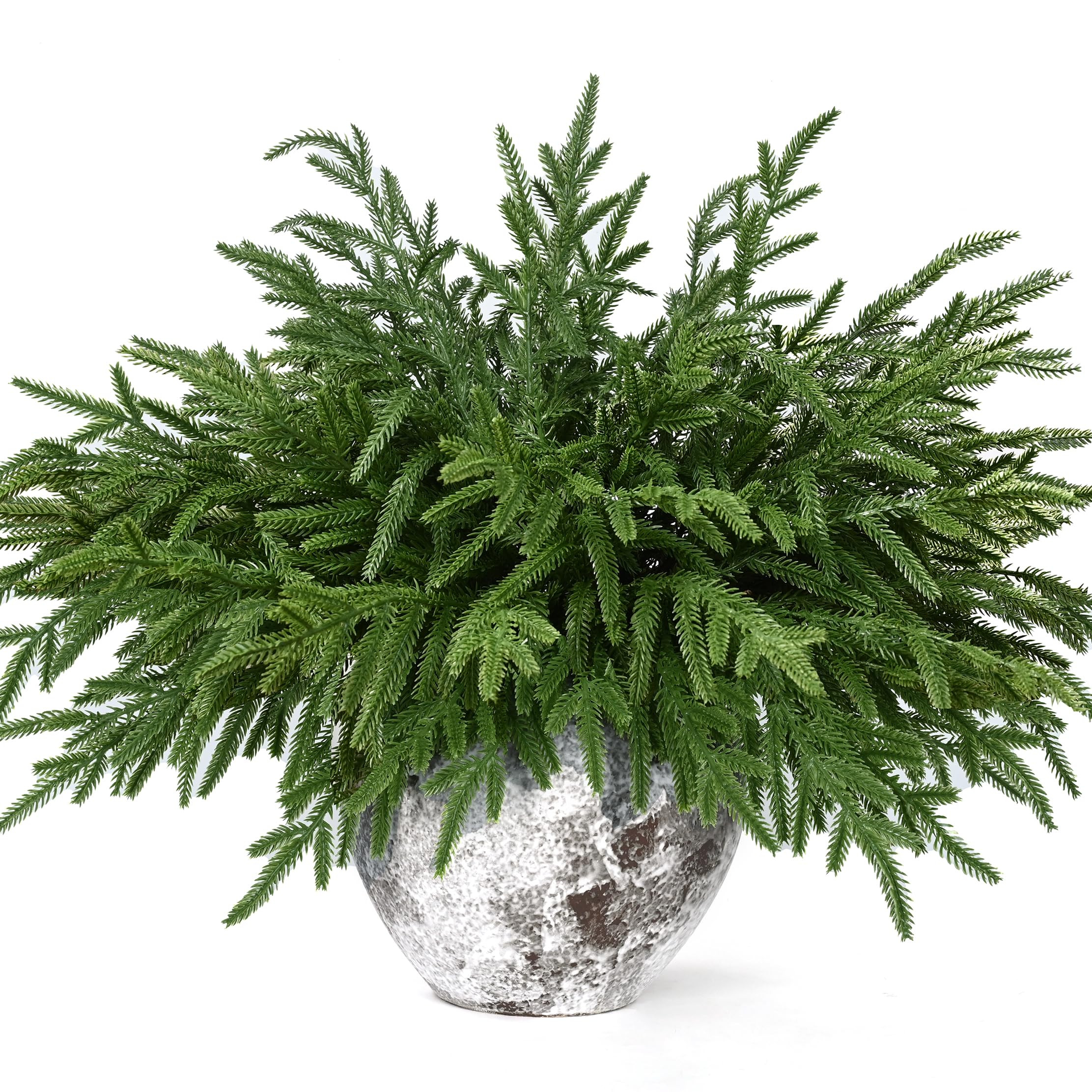 Waipfaru Christmas 12 Pcs Norfolk Pine Stems, 18 Inch Real Touch Artificial Norfolk Pine Branches... | Amazon (US)