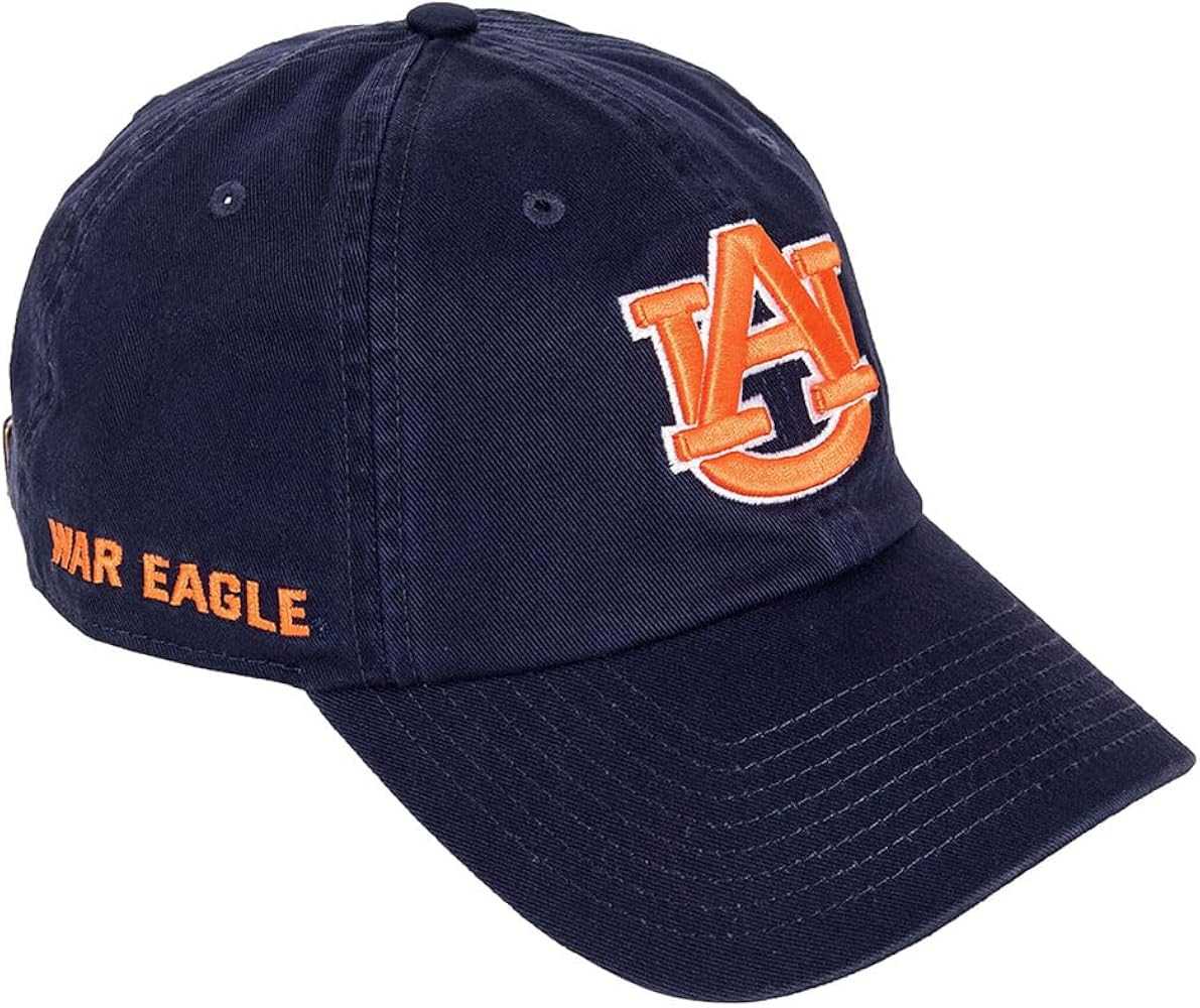 Desert Cactus Auburn University Tiger Embroidered Baseball Hat (G1) | Amazon (US)