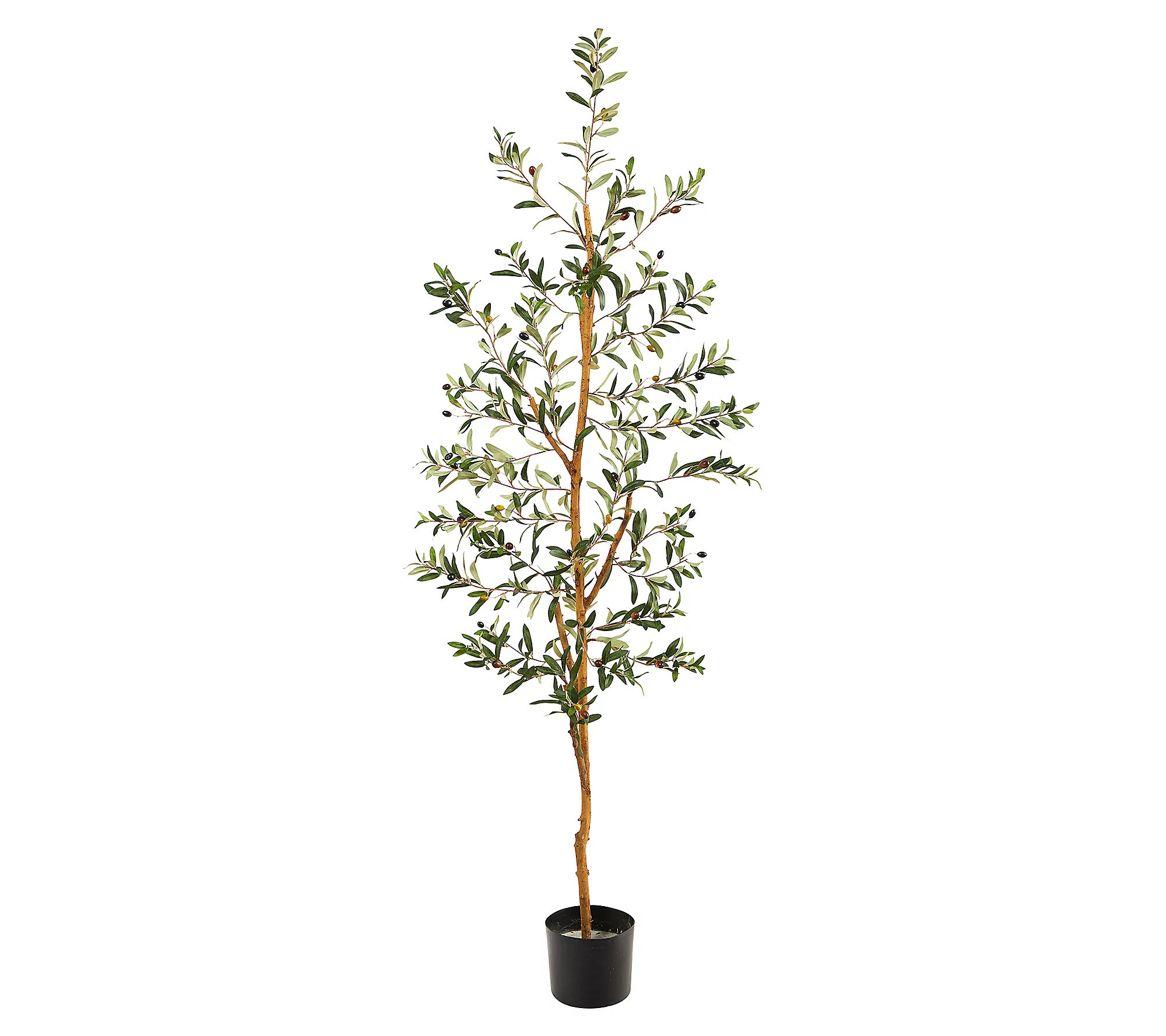 Olive Artificial Tree 4.5' by Nearly Natural | QVC
