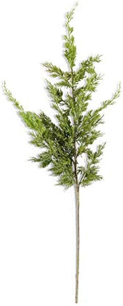 K&K Interiors 54394A 36 Inch Real Touch Cypress Pine Branch, Green | Amazon (US)