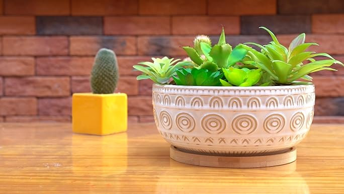 LE TAUCI Succulent Pots, 6.5+8 Inch Ceramic Indoor Plant Pot with Drainage Hole, Modern Round Dec... | Amazon (US)