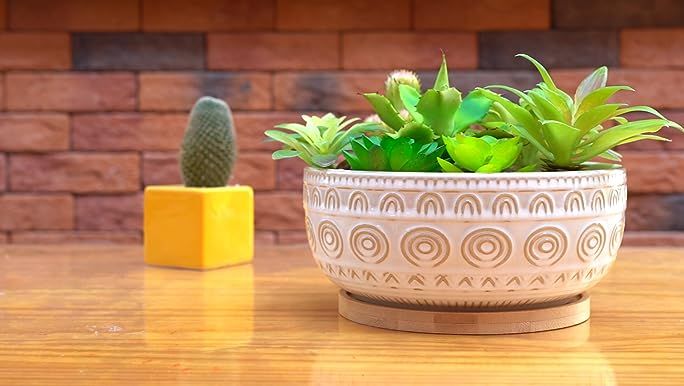 LE TAUCI Succulent Pots, 6.5+8 Inch Ceramic Indoor Plant Pot with Drainage Hole, Modern Round Dec... | Amazon (US)