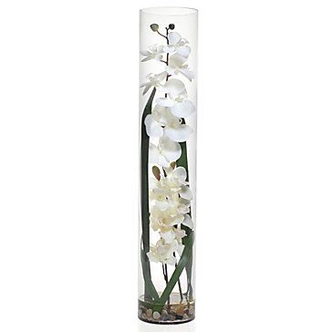Faux Orchid in Glass Vase | Z Gallerie