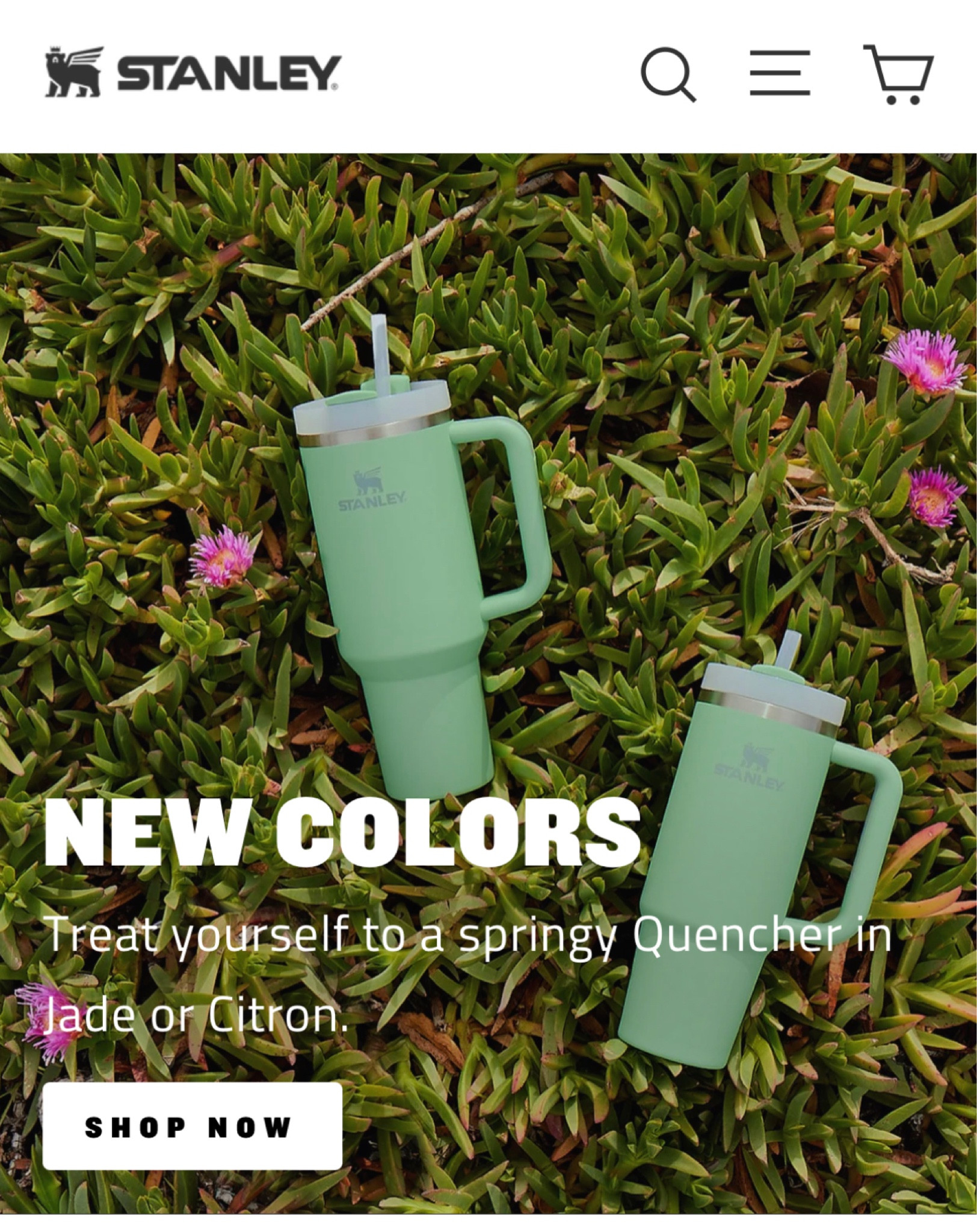 NEW SPRING STANLEY COLORS! Sell out fast!!! 

#LTKhome #LTKfit #LTKFind