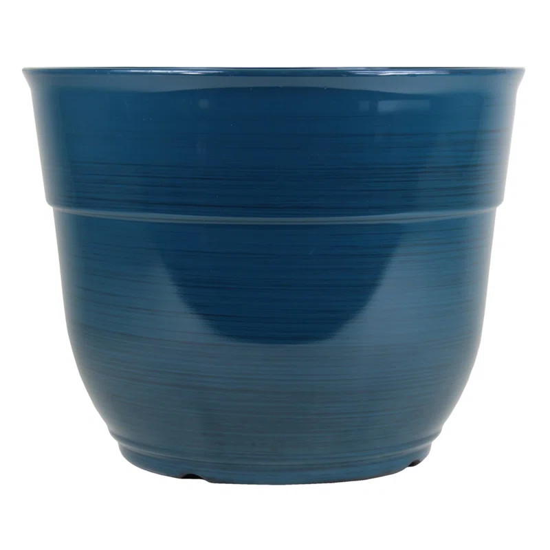 Gracie Oaks Glazed Brushed Happy Plastic Pot Planter & Reviews | Wayfair | Wayfair North America