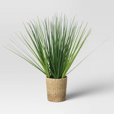 Small Potted Grass in Basket - Threshold&#8482; | Target