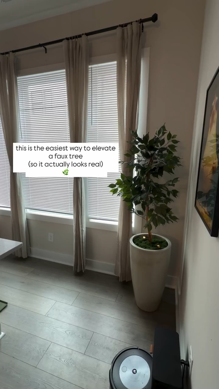 if your faux tree looks a little… fake… this is why 🌿

bigger planter, faux moss, and a little lighting = it actually feels like part of the room now

(also yes… this turned into a 2 person job halfway through 😂)

one of those small changes that somehow makes everything feel more finished

cozy home decor | faux tree styling | indoor plant decor | living room styling | home glow up
@wayfair @wayfaircreators #wayfair #wayfaircreator #ad #wayfairelevate
