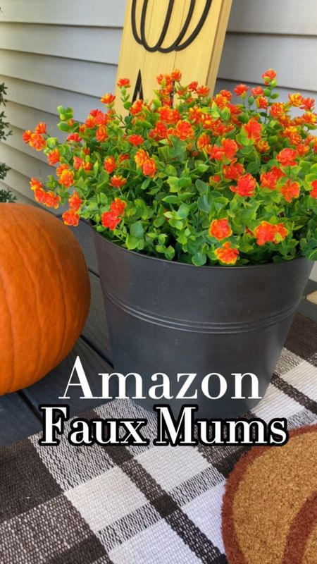 I love having fresh bright mums on my fall porch every year! I decided to add in a few faux ones this year so I didn’t have to worry about the upkeep. These faux flower stems from Amazon have great reviews and fill up my 9 inch round planter perfectly! 

#LTKSeasonal #LTKhome #LTKHalloween
