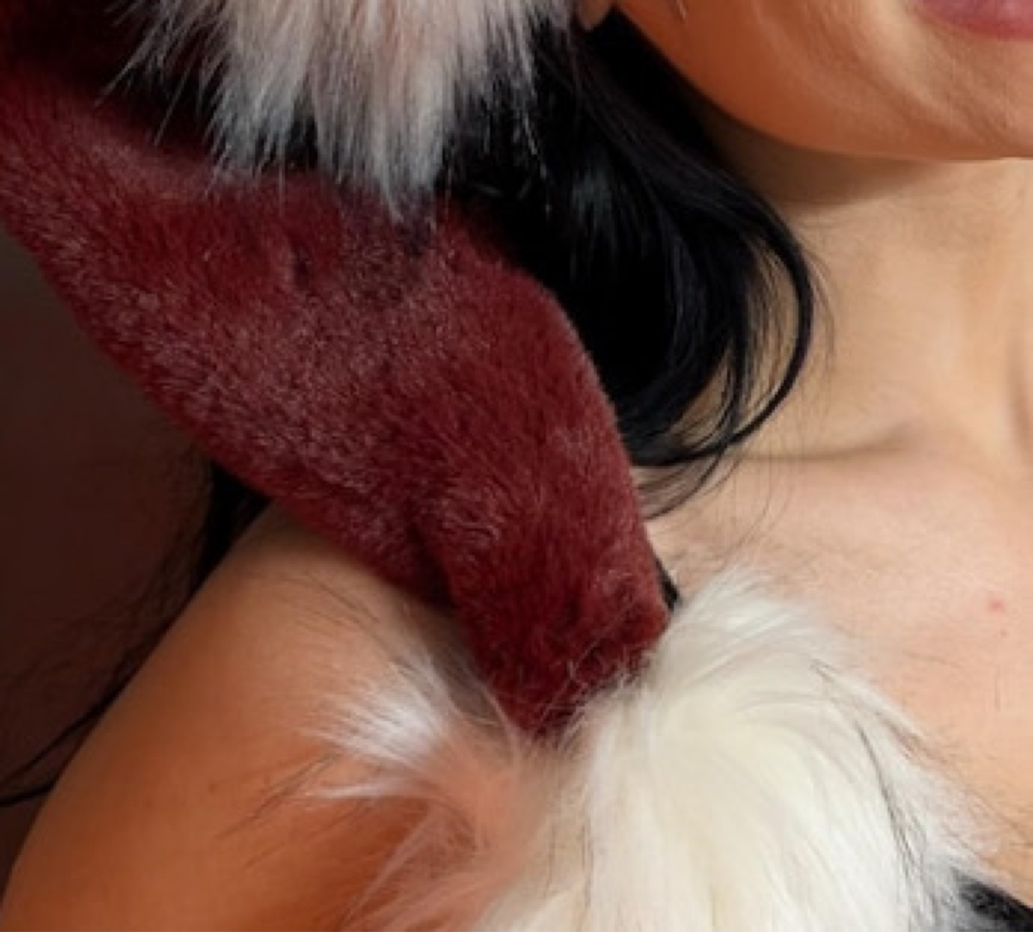 Santa hats!

#LTKSeasonal #LTKHoliday