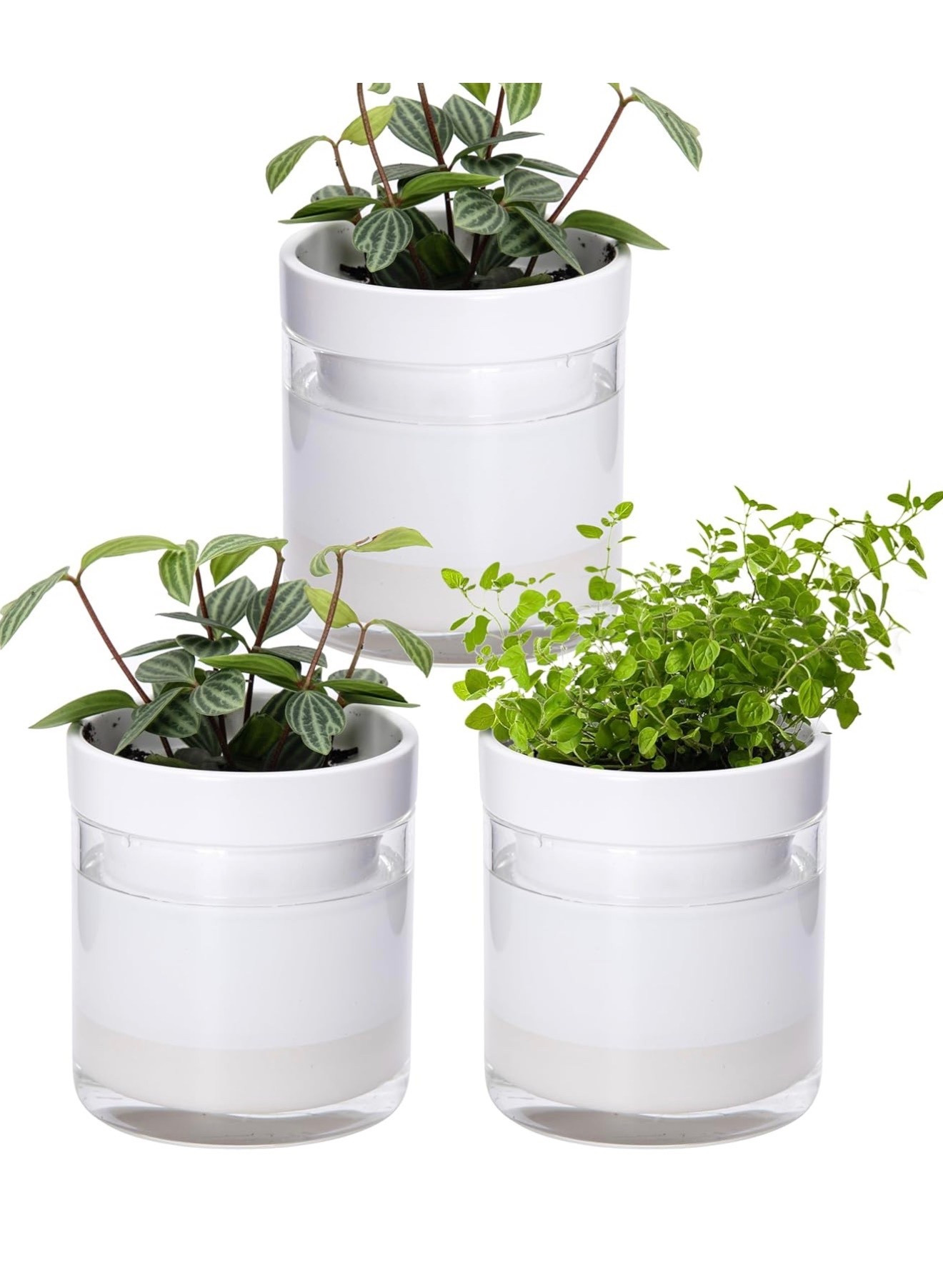 Self watering herb pots! Im going to have the best herbs on the block!!!! 

#amazon #herbs #garden 