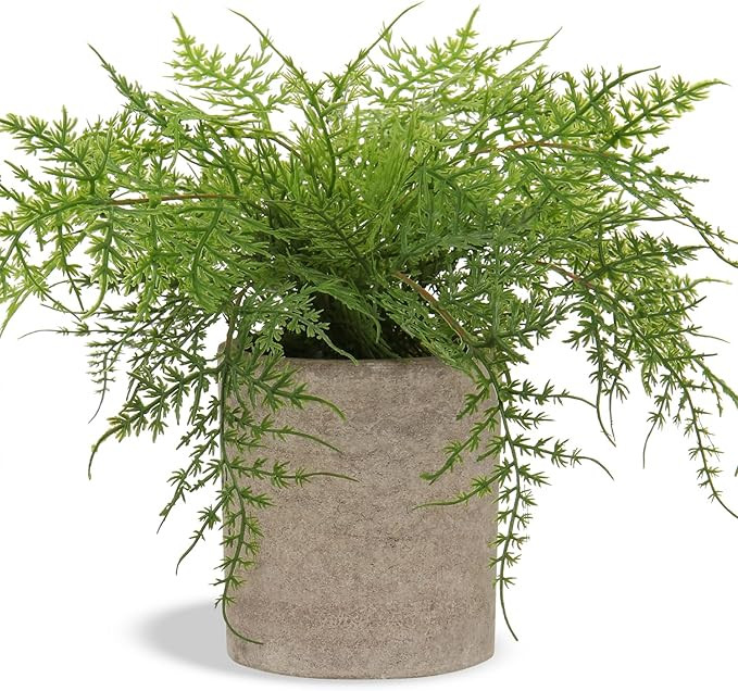Small Fake Plant Potted Plants Artificial Decor Silk Ferns Plant Faux Plants in Pots for Home Liv... | Amazon (US)