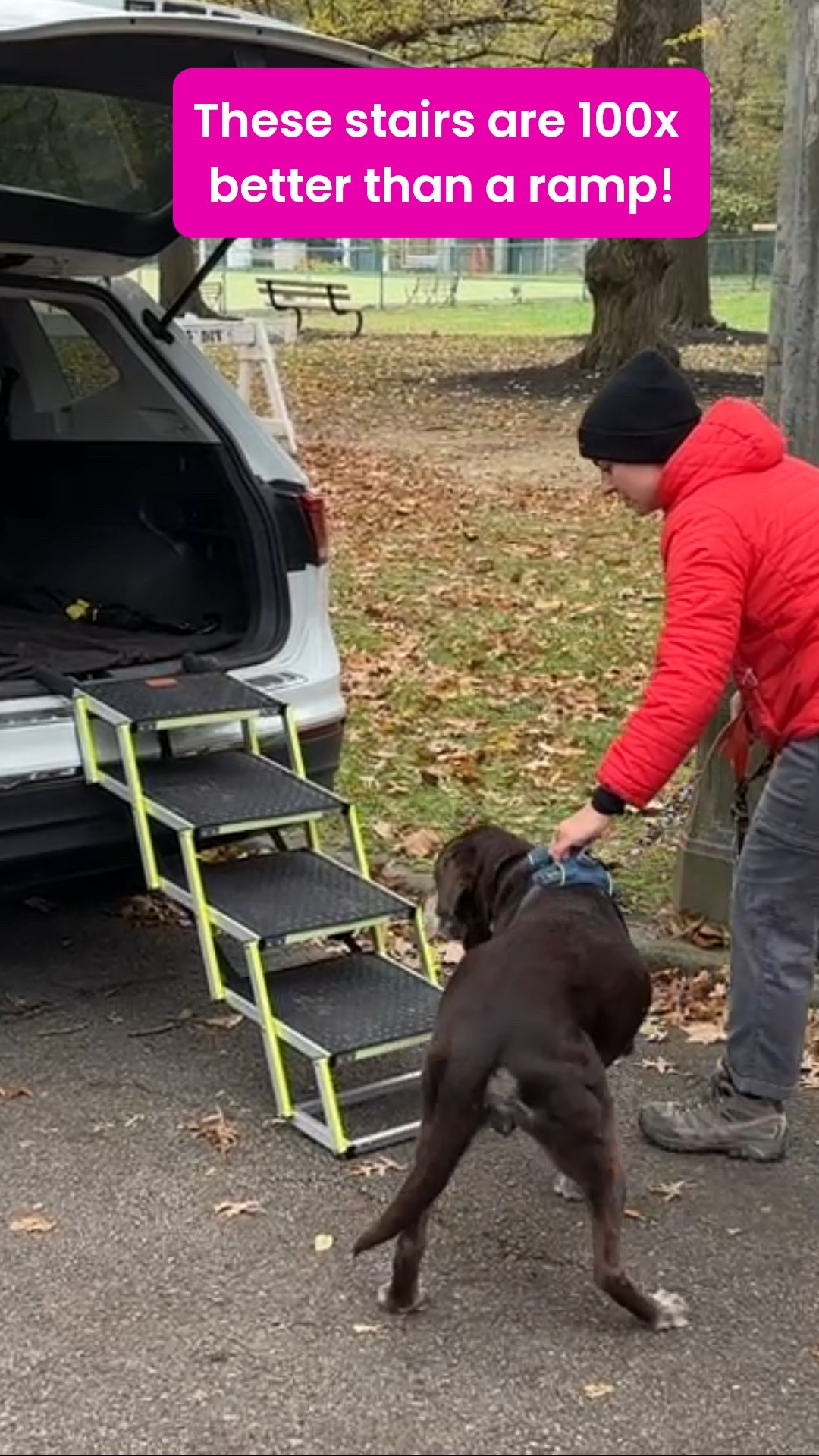 These collapsible stairs are one of my favorite Dog purchases of 2025! They work so much better for us than a ramp which had already collapsed and I had to throw away


#LTKPets