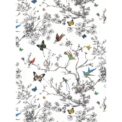 Birds & Butterflies 15' L x 27" W Wallpaper Roll Schumacher | Wayfair North America