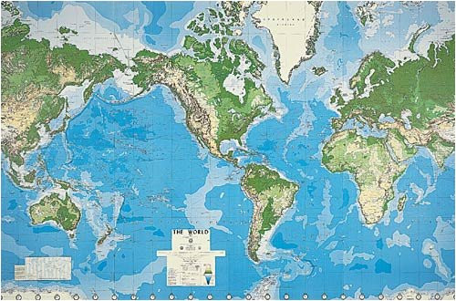 Globe Mural | Amazon (US)